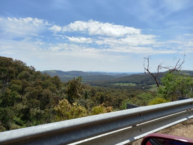 Views from Mansfield-Whitfield Rd looking down into the King Valley